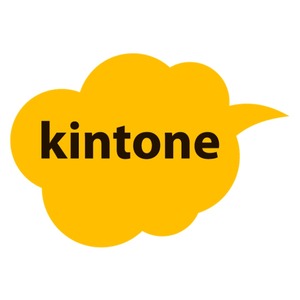 kintone 300*300